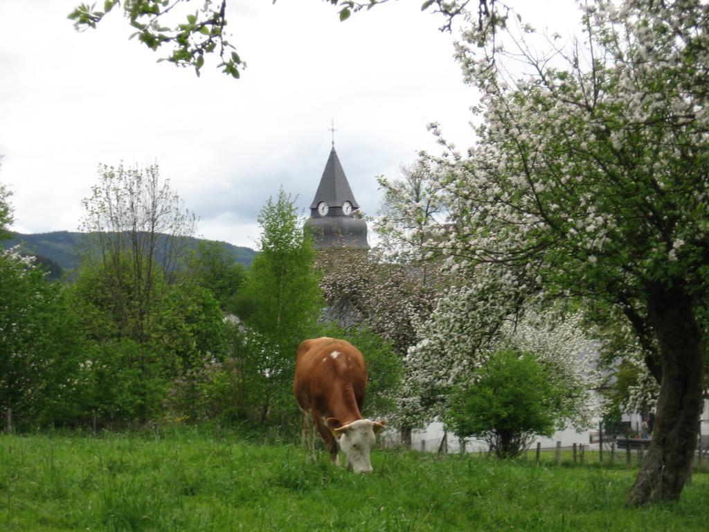 Moos-hochsauerland Wiemeringhausen